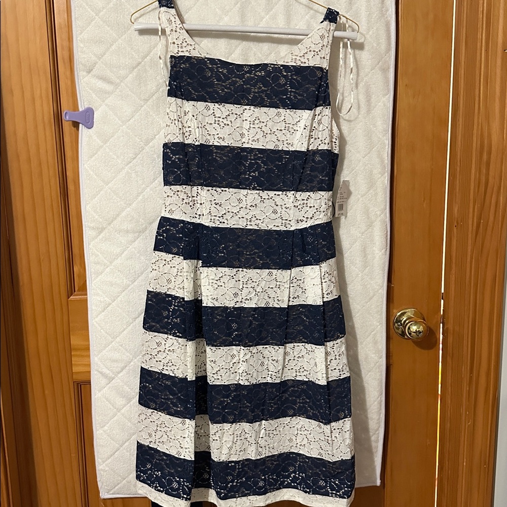 David's Bridal Navy and Cream Lace Dress